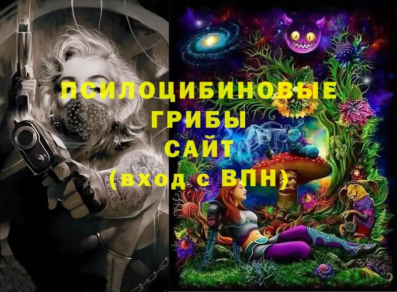 Псилоцибиновые грибы Magic Shrooms Инсар