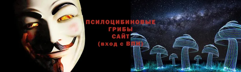 купить наркотик  Инсар  Псилоцибиновые грибы Cubensis 